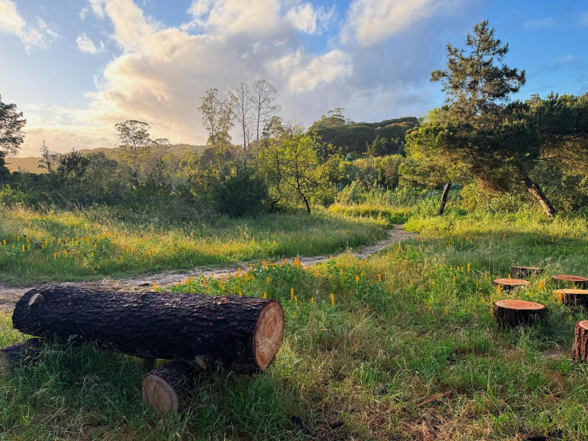Coastal Garden Paradise Retreat- 6 Min From The Beach Шарнека Екстериор снимка
